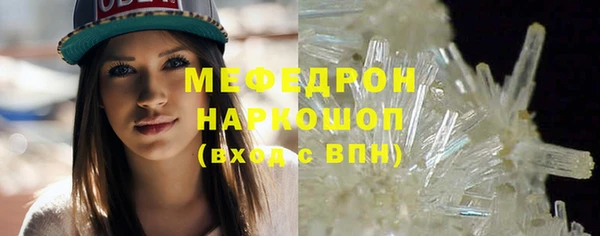 СК Ельня