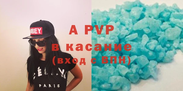 СК Ельня