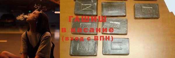 СК Ельня