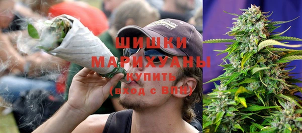 СК Ельня