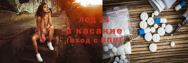 СК Ельня