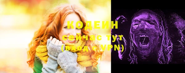 СК Ельня