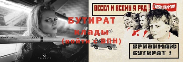 СК Ельня