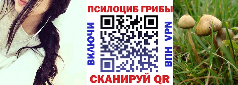 Галлюциногенные грибы Magic Shrooms  Купить закладки  Ливны 